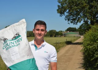 Voldoende vers gras voor een volle pens