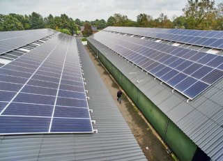 Pluimveehouder over financiering panelen: ‘Deze opzet past bij mij’