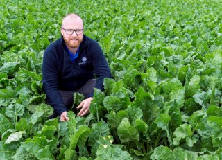 SESVanderHave: 'Genetische resistentie zeer effectief tegen bladziekten bij bieten'