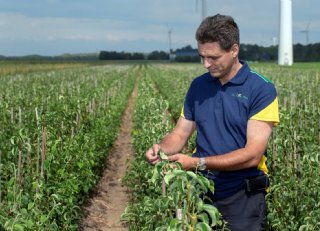 Zoeken naar teeltoplossingen met een minimale milieu-impact