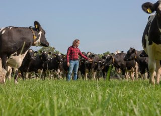 Vanaf half maart een weidesnede