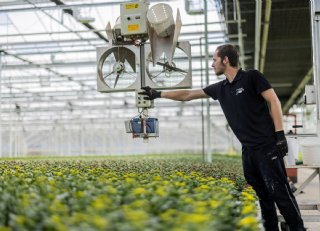 Santinikwekerij Van Schie benut alle voordelen van milieuregistratie