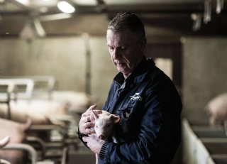 Grondeigenaar en varkenshouder Hulshof liet zonnepark bouwen