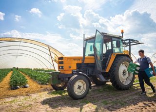 Payroll kan veel risico’s bij ondernemers wegnemen