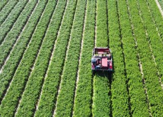 Plant Care: het groene alternatief