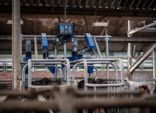 Spider Krachtvoersysteem brengt rust in de melkveestal