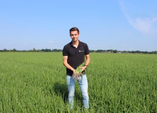 Druppelirrigatie loont