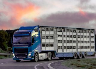 Desinfectiemiddel vogelgriep en varkenspest ook voor transportmiddelen