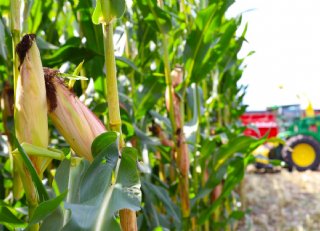 Een goede verteerbaarheid levert een gezonde pens en meer melk