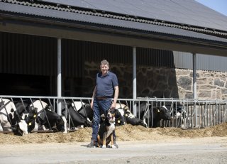 Van koe naar kilowatt met opslagsysteem