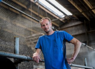 Gerichte voeraanpak als wapen tegen hittestress bij koeien