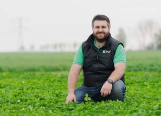 Vanggewas met vlinderbloemigen biedt veel voordelen