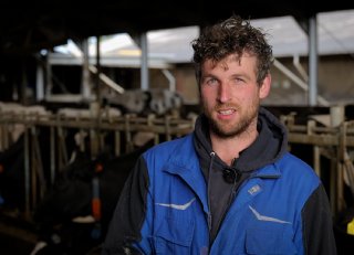 Minder zieke kalveren door slimme vaccinatiestrategie