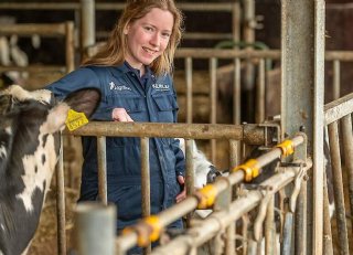 Zo voorkom je luchtwegproblemen bij kalveren