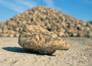 UBS transformeert suikerbietenmarkt: vier topmerken onder één dak