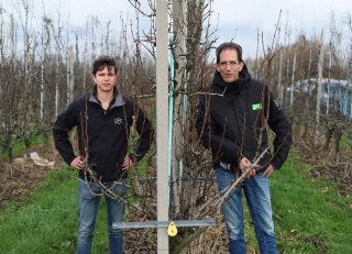 Nieuw middel voor aanpak van schurft en vruchtrot in fruit