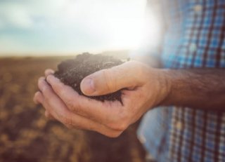 De stille revolutie in gewasbescherming