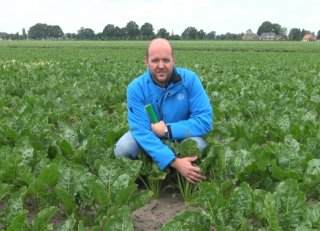 Spuitschema met hoogste rendement