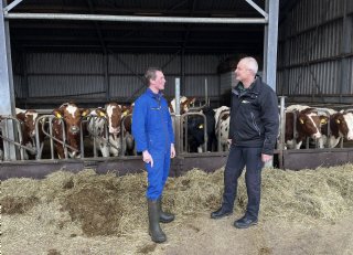 Blauwtong serotype 8 ligt op de loer