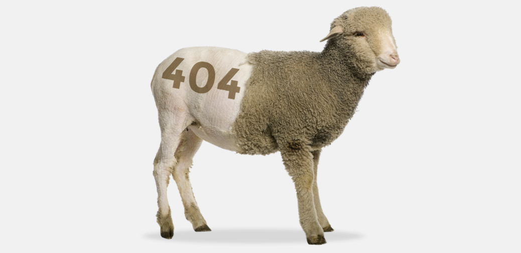  404 